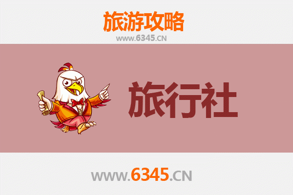 白山长白本地旅行社推荐：精选靠谱地接社与深度游玩全攻略